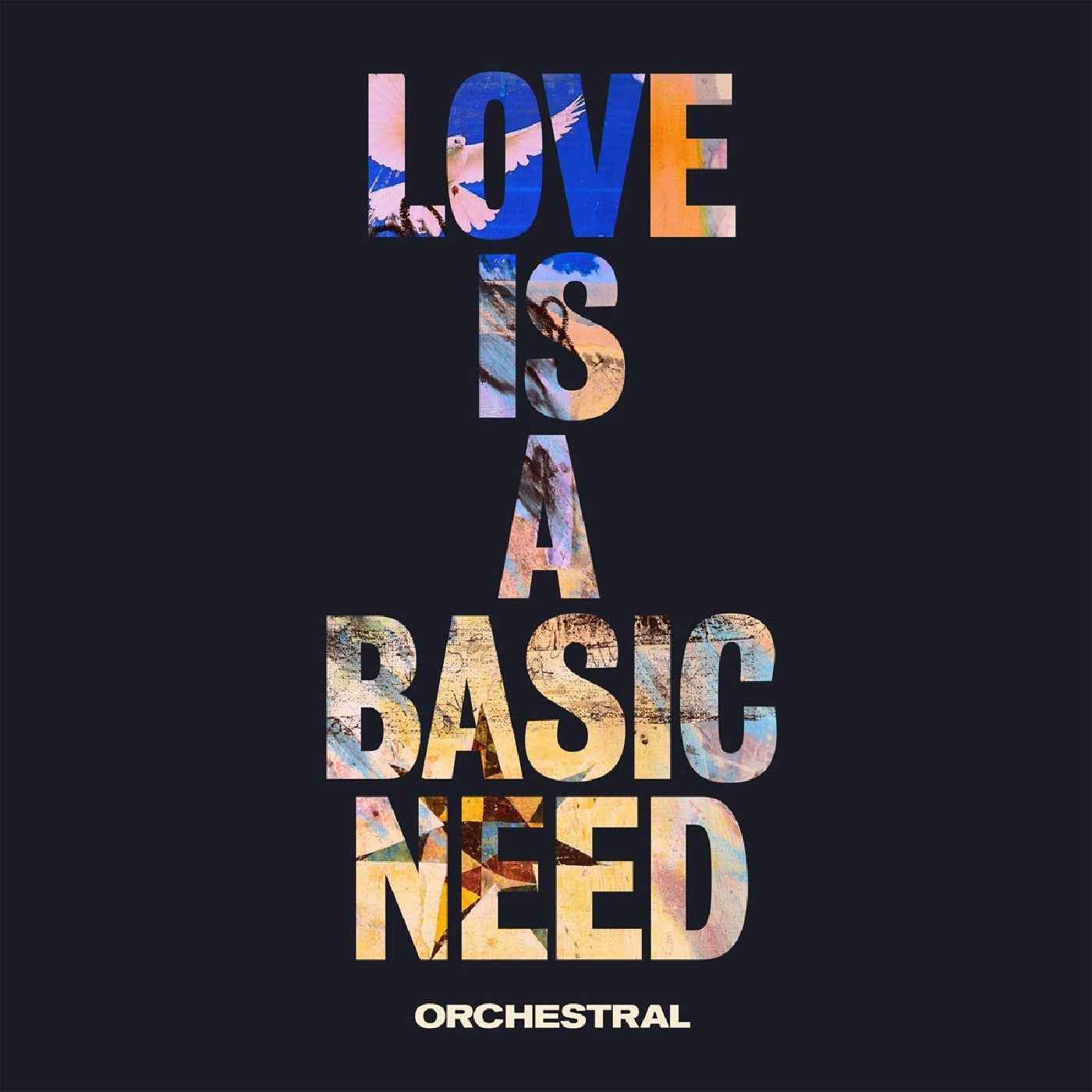 Embrace - Love Is A Basic Need (Orchestral) [Vinyl]
