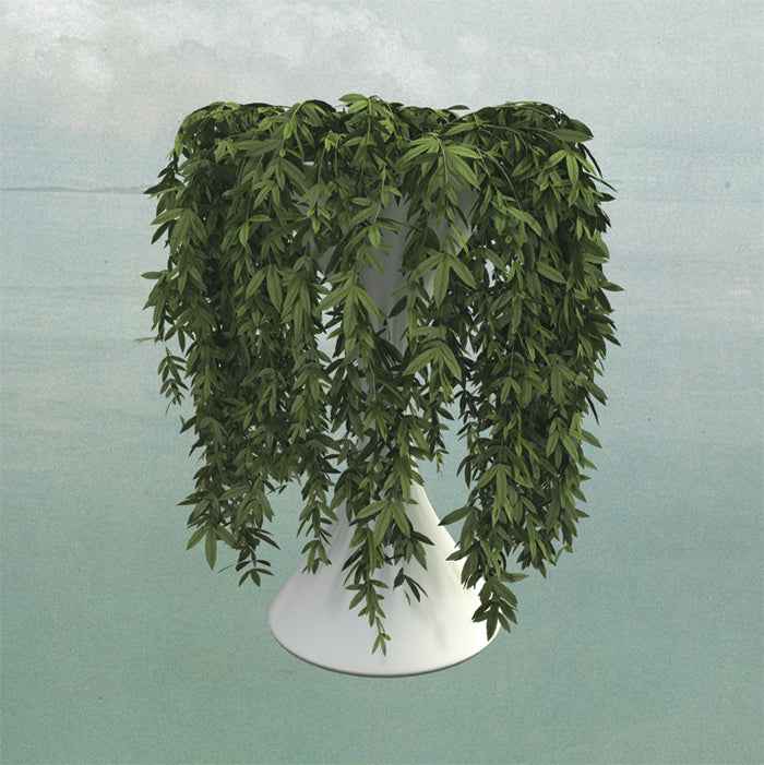 Lease Of Life [CD]