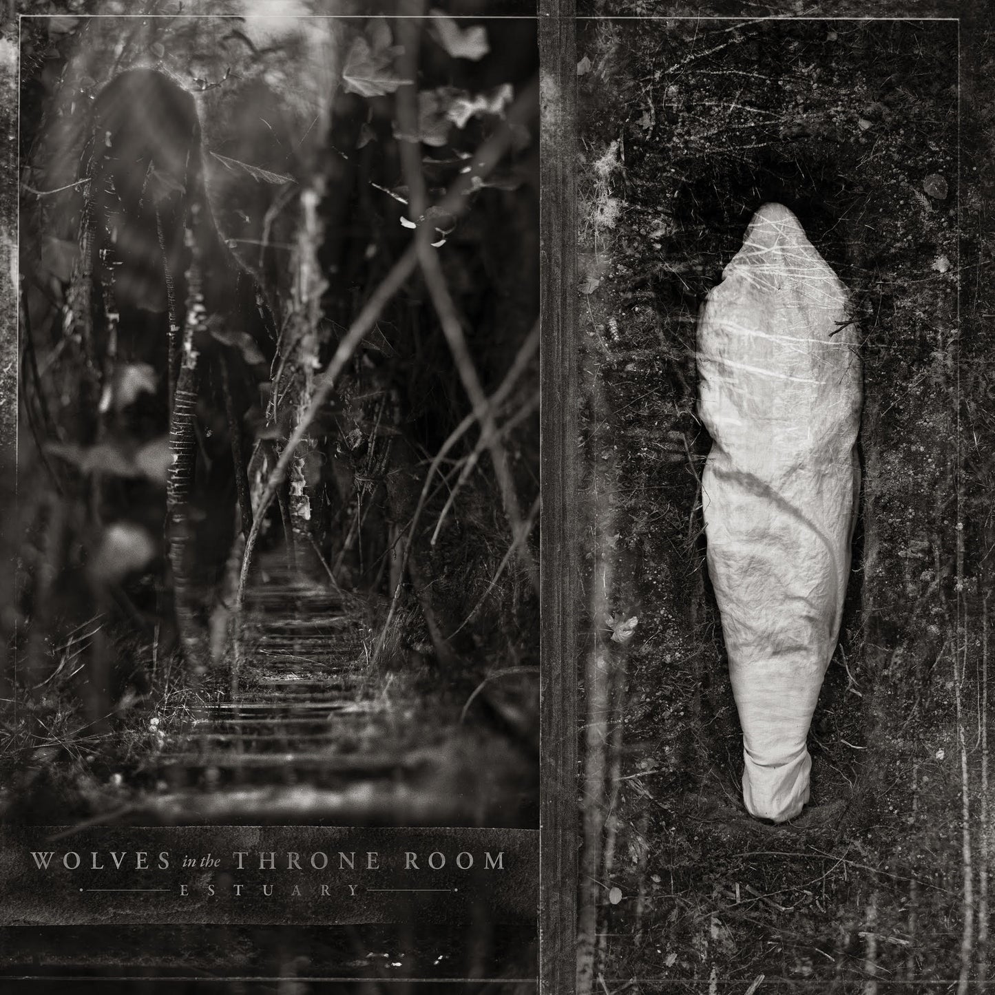 PRE-ORDER Estuary - Wolves In The Throne Room [Silver Vinyl] [Vinyl]