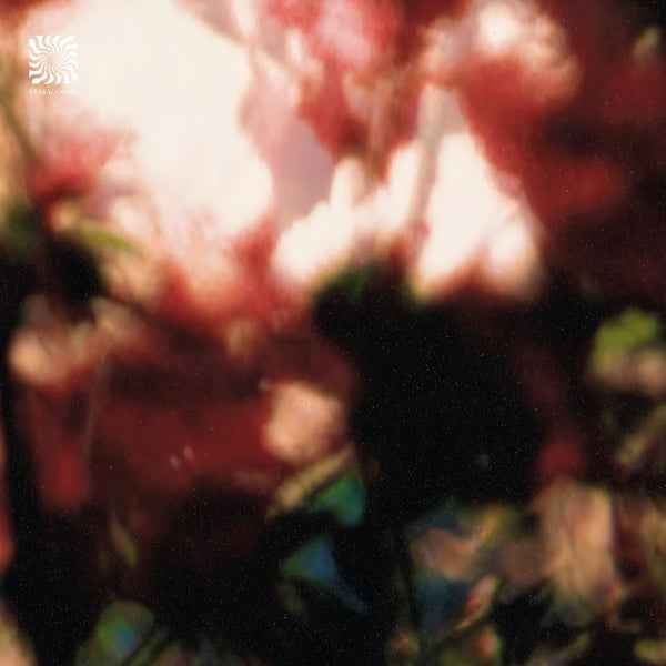 Euphonic Alliances Ltd. - Peace Is It In You [12"] [Vinyl]