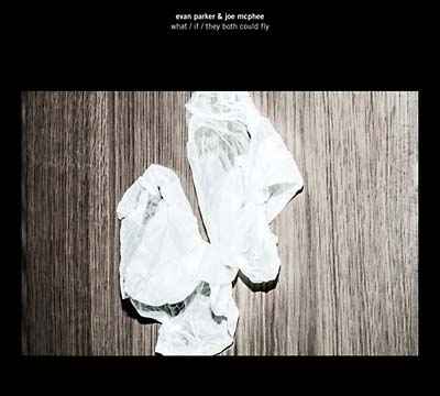 What/If/They Both Could Fly [CD]
