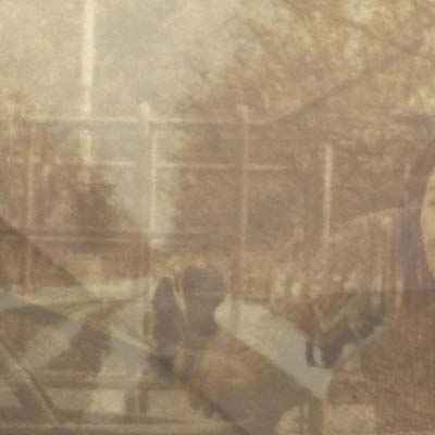 Folding In On Itself [CD]