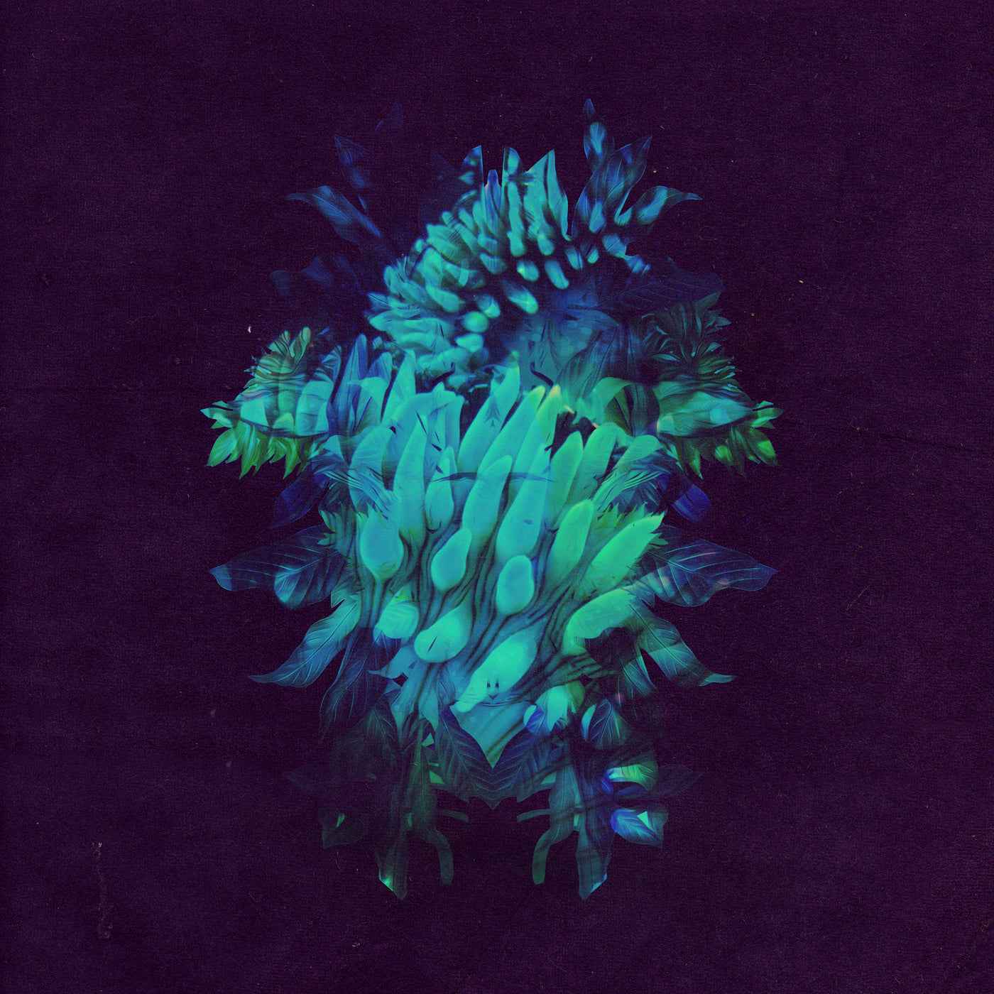 All Glows [CD]