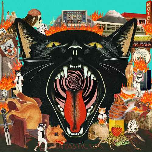 Cat Out Of Hell [Vinyl]