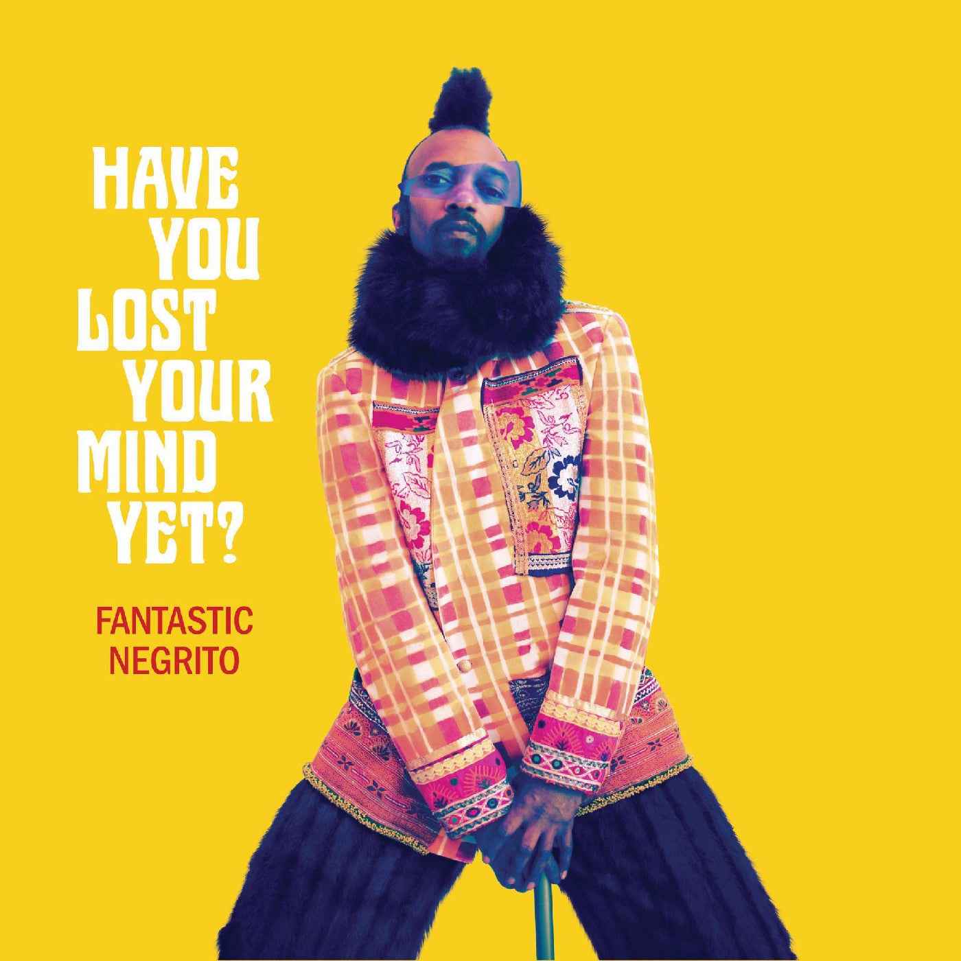 Have You Lost Your Mind Yet? [Vinyl]