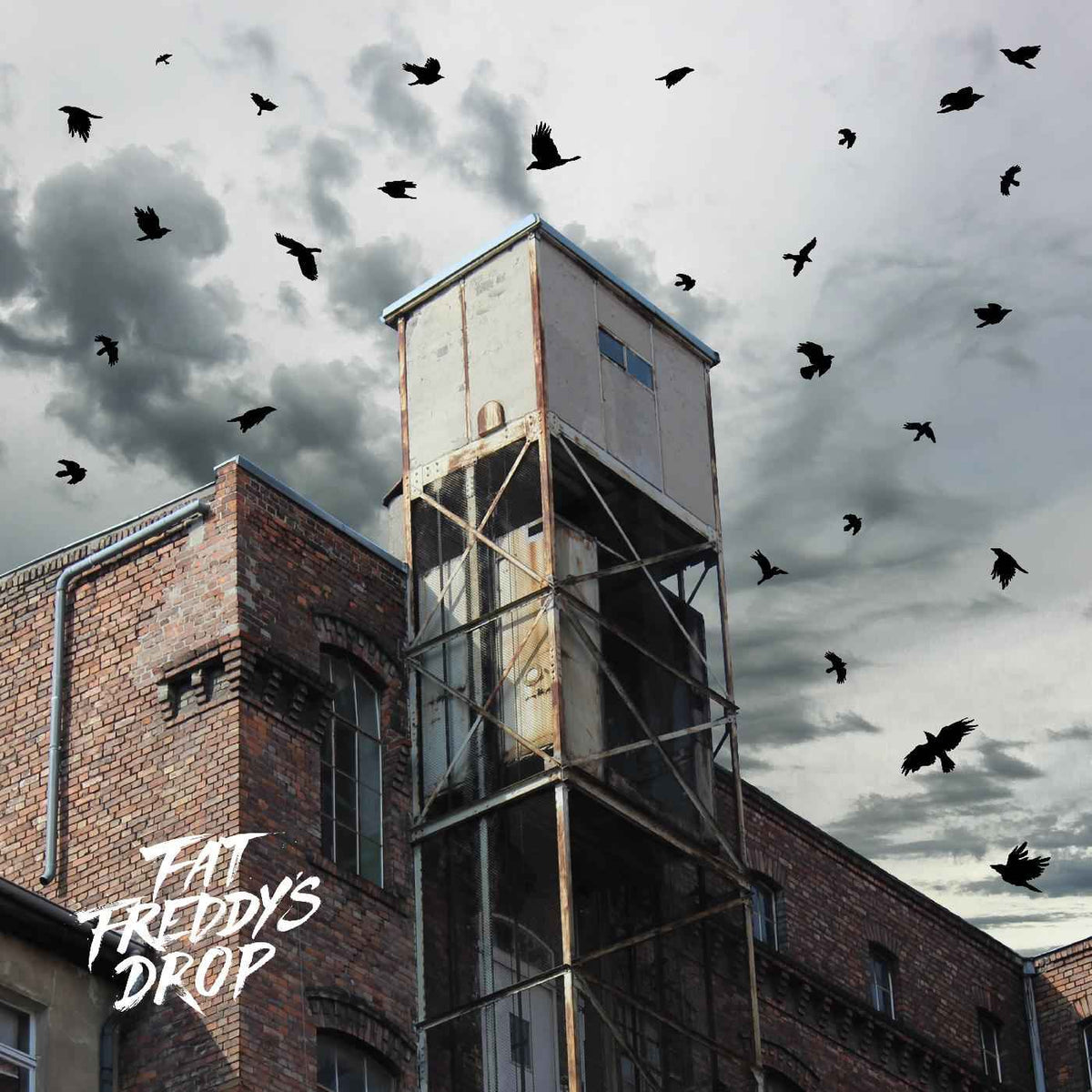 Fat Freddy's Drop - Blackbird Returns [Vinyl]