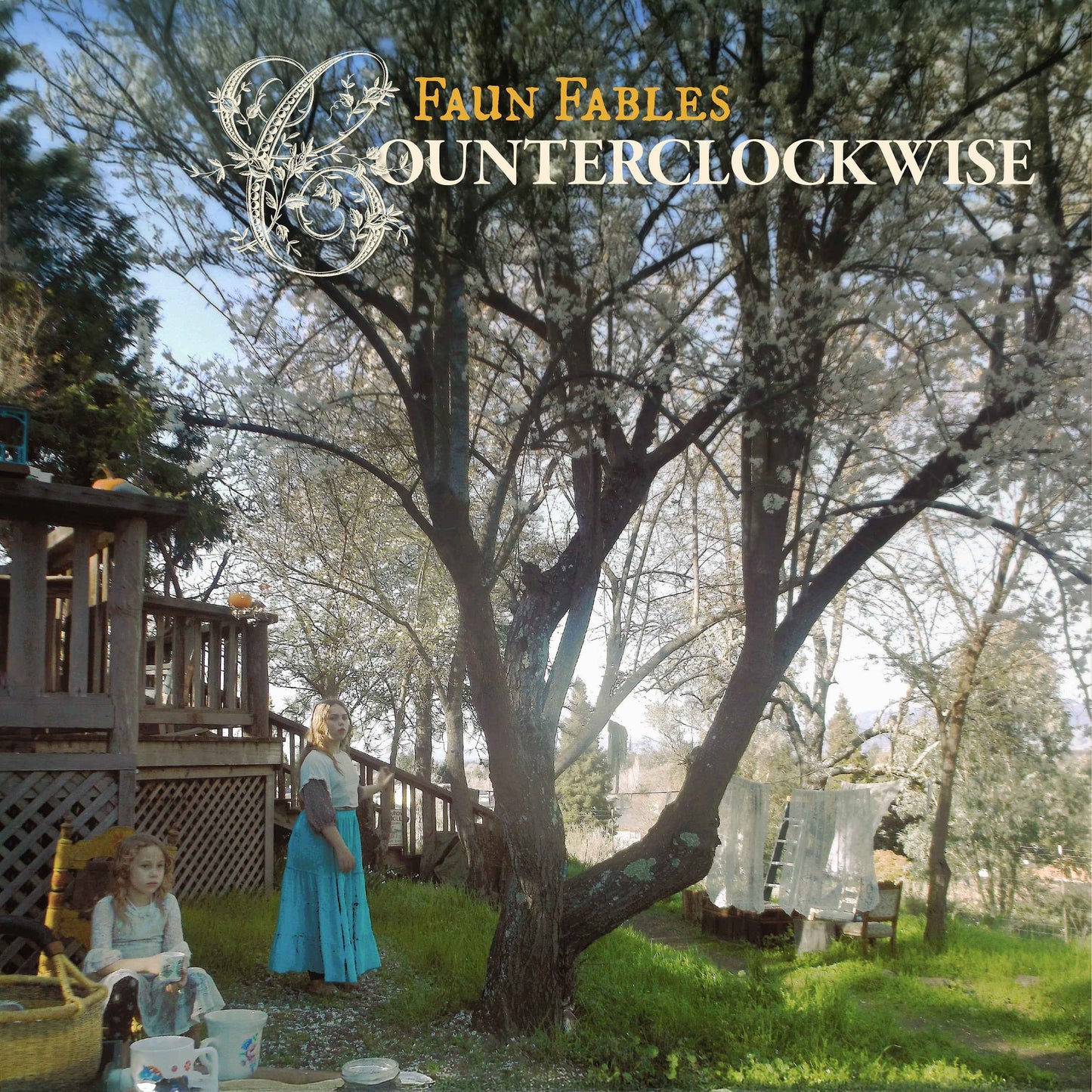 Counterclockwise [Vinyl]