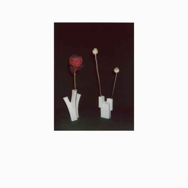 FELICIA ATKINSON - The Flower And The Vessel [Vinyl]