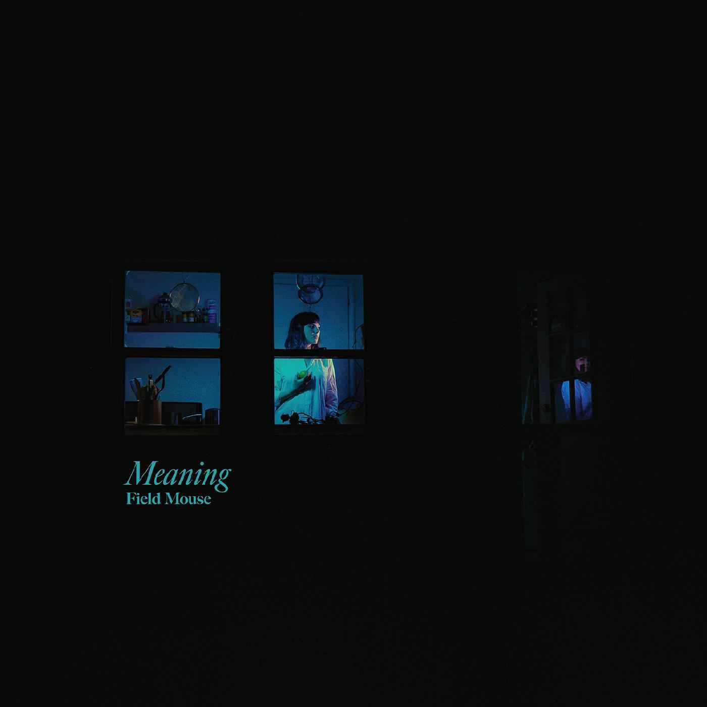 Field Mouse - Meaning [Vinyl]