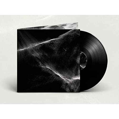 Final Light [Vinyl]