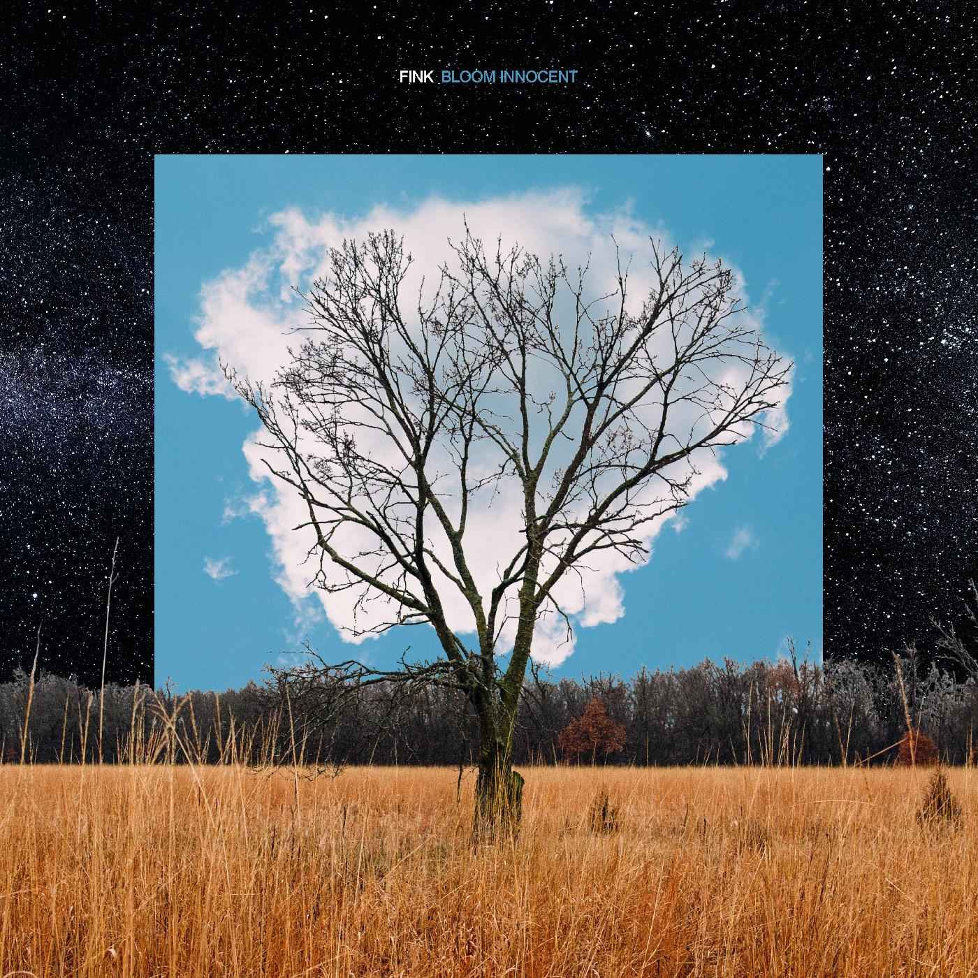 Bloom Innocent [CD]