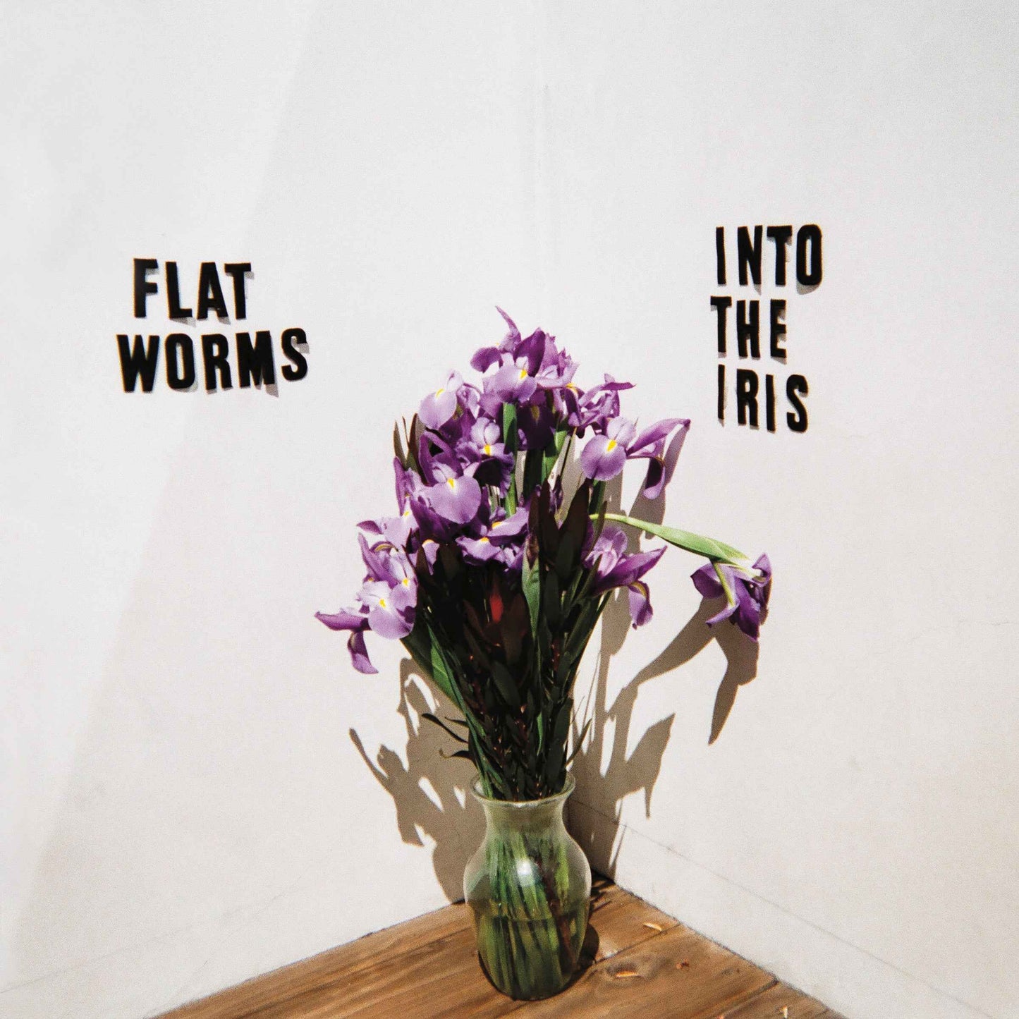 Into The Iris [Vinyl]
