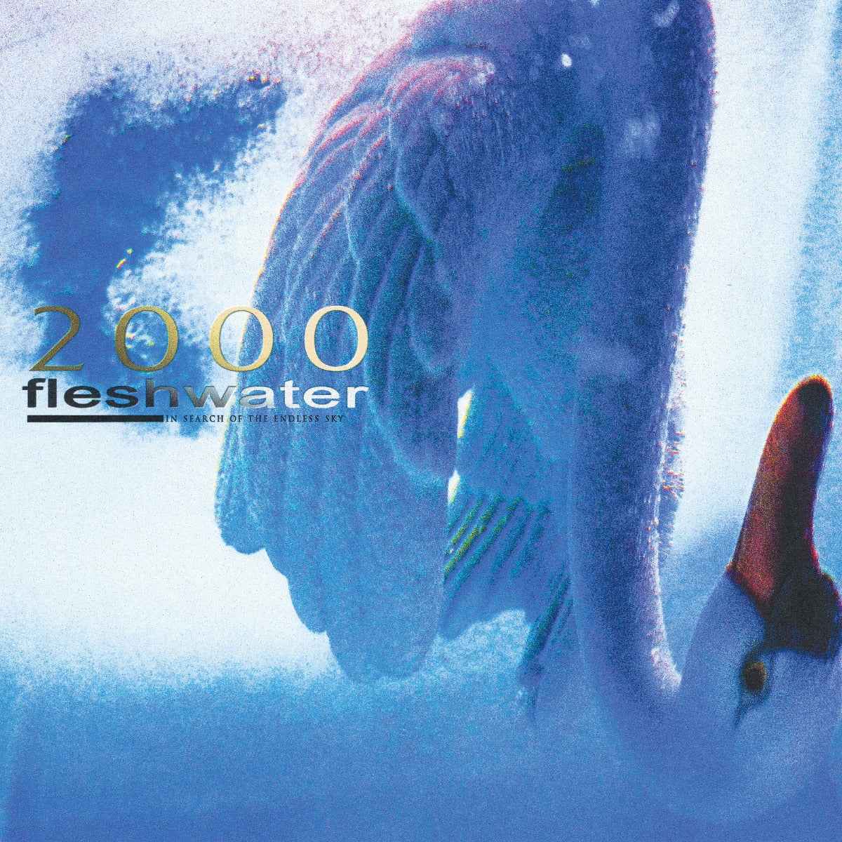 2000: In Search Of The Endless Sky (Indie Exclusive Fluorescent Pink Vinyl) [Vinyl]