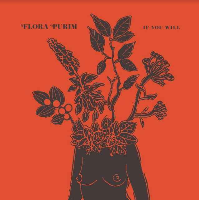 If You Will (CLEAR VINYL) [Vinyl]