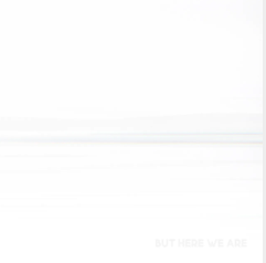 Foo Fighters - But Here We Are (Black Vinyl) [Vinyl]