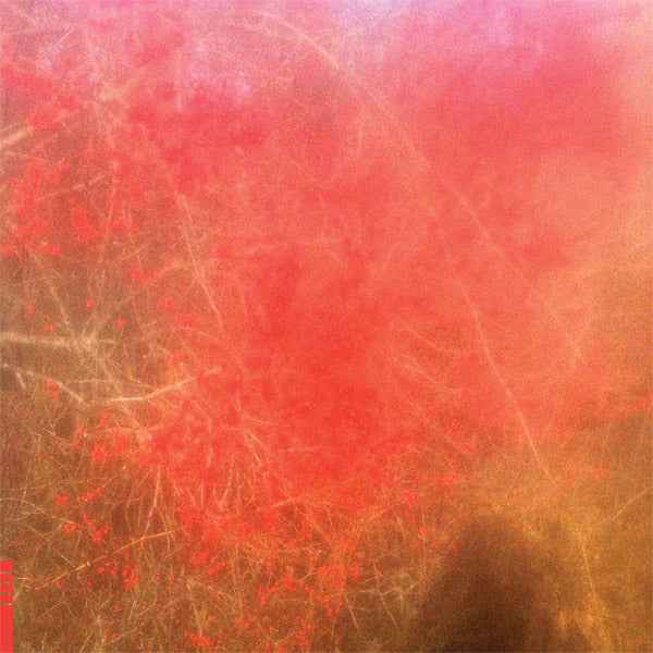Foom & Foam [Vinyl]