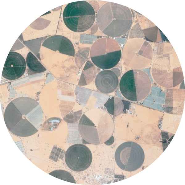Recursion Ep [Vinyl]