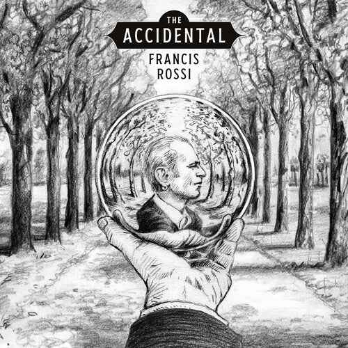 The Accidental (180G) [Vinyl]
