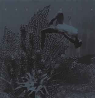 Fred Frith - Eye To Ear 3 [CD]