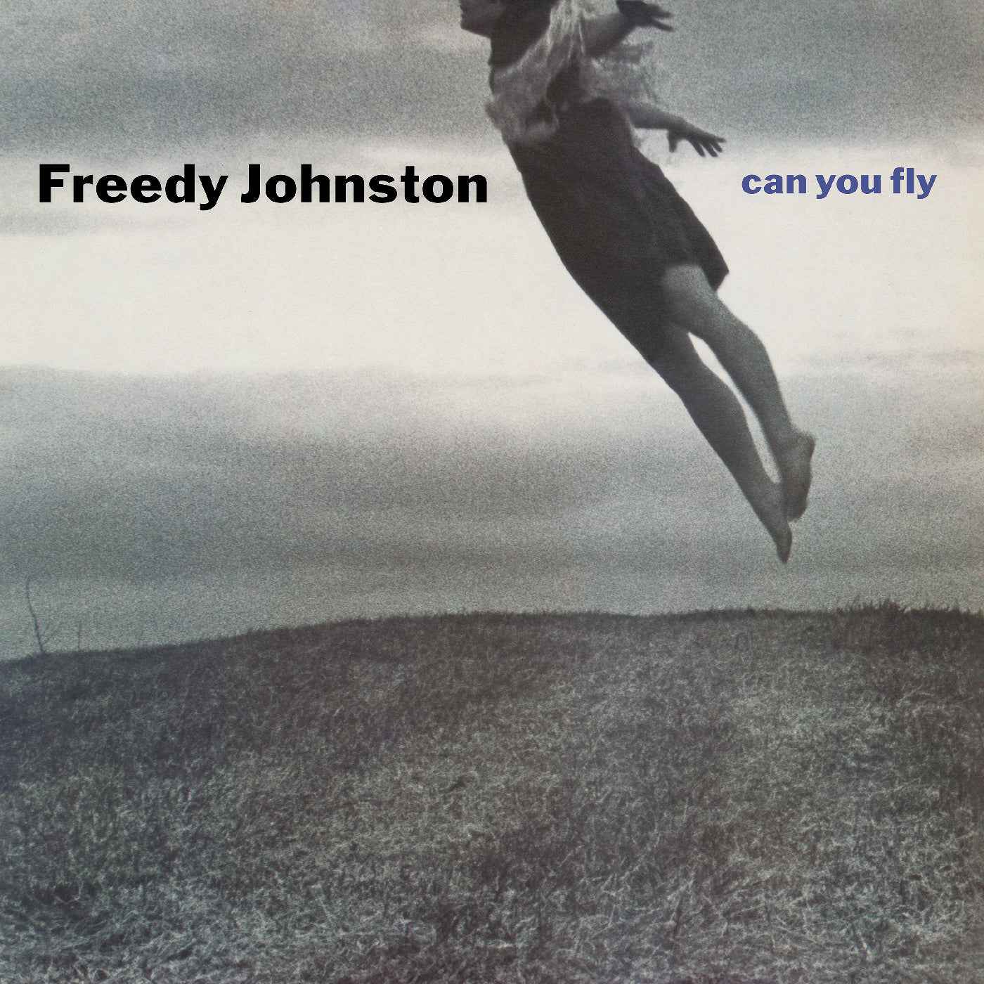 Can You Fly (Clear Vinyl) [Vinyl]