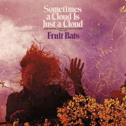 Sometimes a Cloud Is Just a Cloud: Slow Growers, Sleeper Hits and Lost Songs (2001–2021) (Colored Vinyl, Pink, Violet, Gatefold LP Jacket, Digital Download Card) (2 Lp's) [Vinyl]
