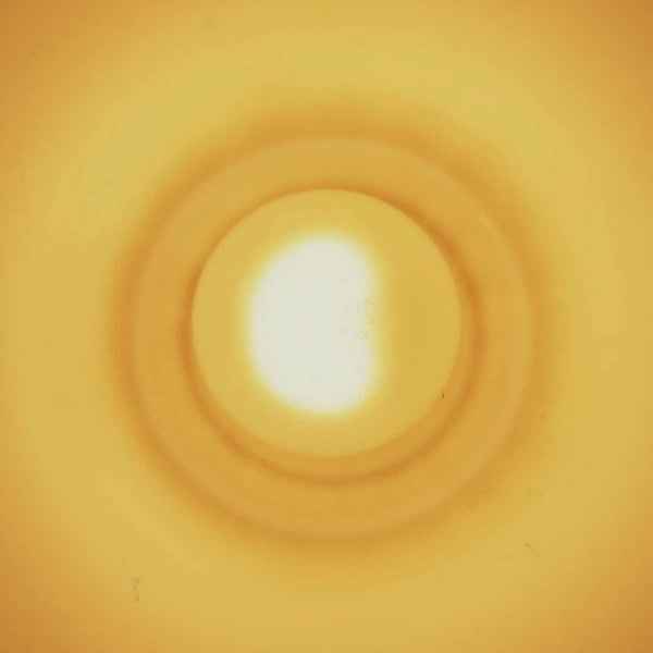 Monstersol [Vinyl]