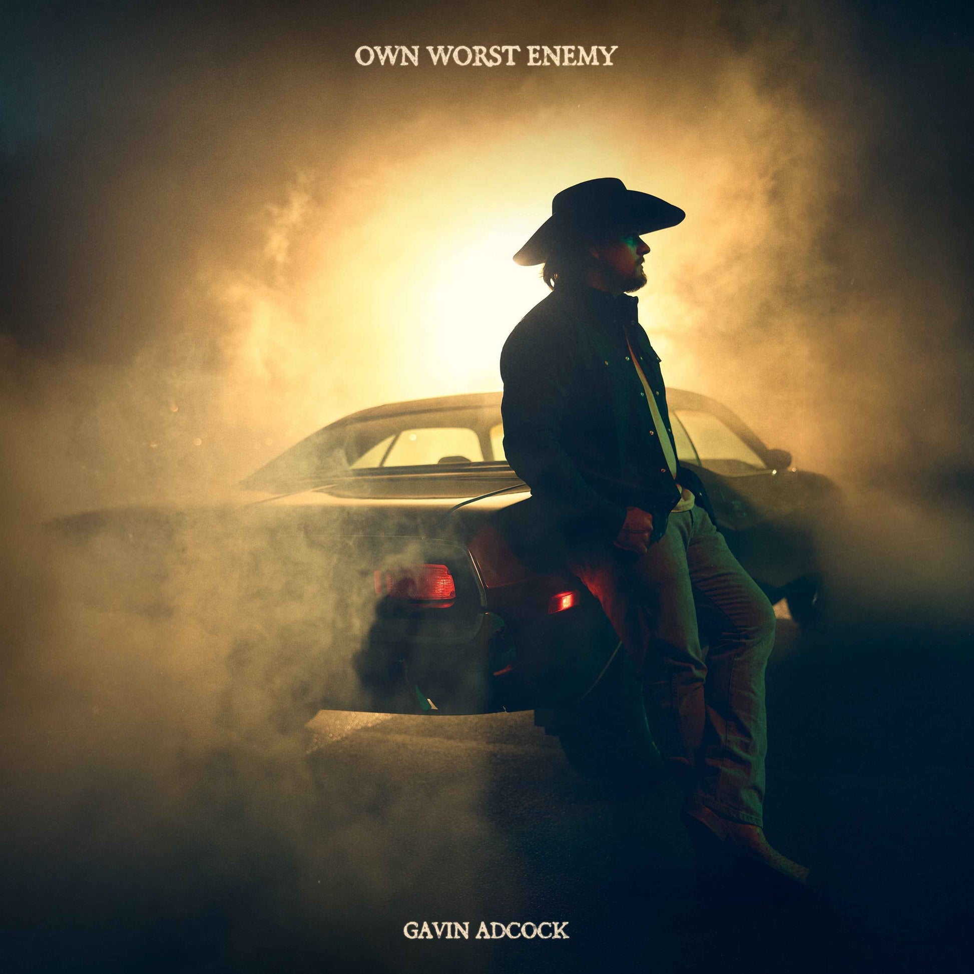 Own Worst Enemy [Vinyl]