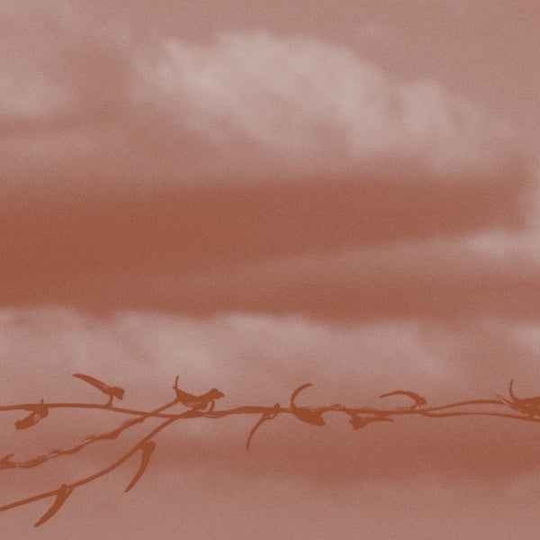 Double Bind [CD]