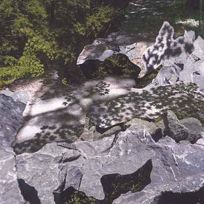 Filtered Water [Vinyl]