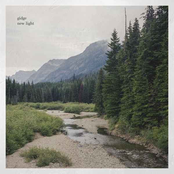 New Light [Vinyl]