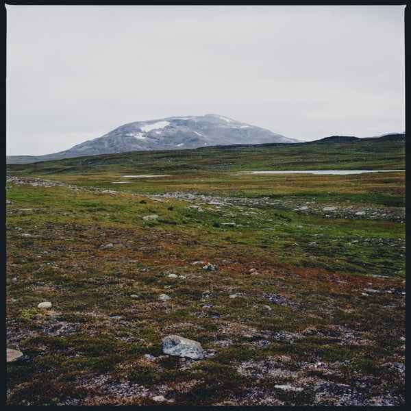 Tundra [Vinyl]
