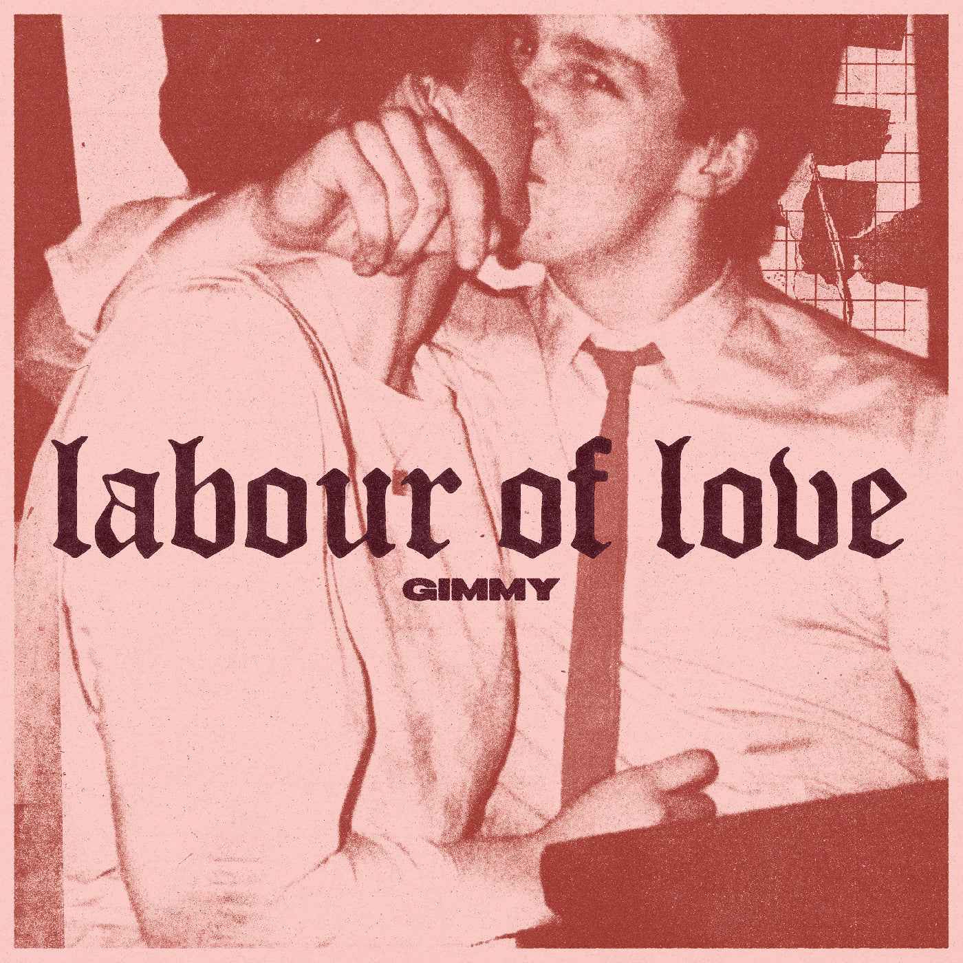 Labour Of Love [Vinyl]