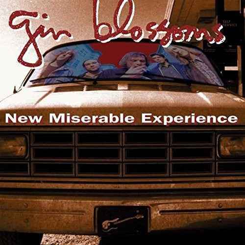 New Miserable Experience [Import] [CD]