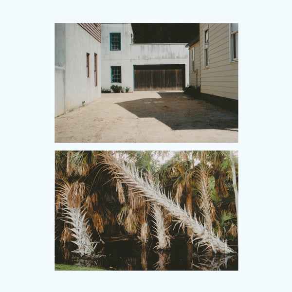 The Vestige [Lp] [Vinyl]