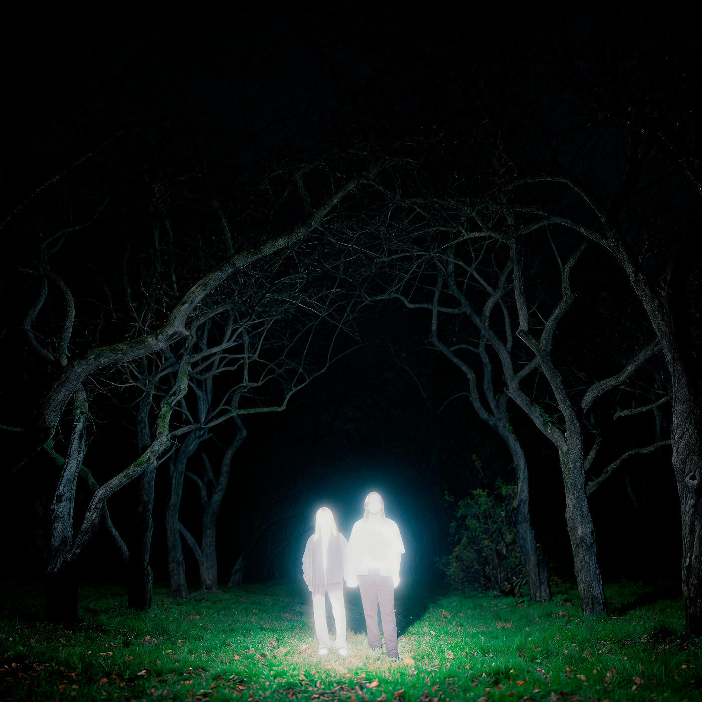 PRE-ORDER Gnoomes - Losey (Indie Exclusive) [Slate Gray Vinyl] [Vinyl]