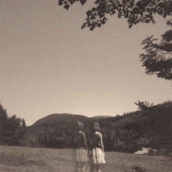 GOLDMUND - The Malady Of Elegance [Vinyl]