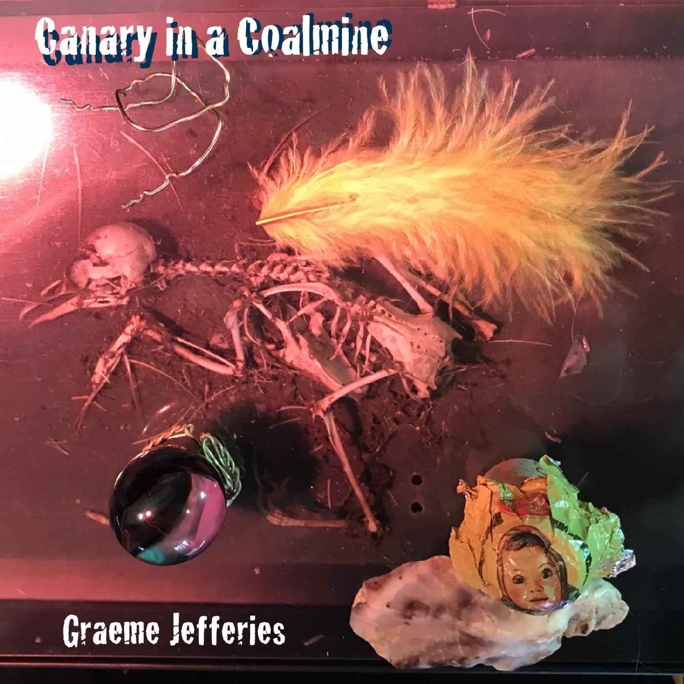 Graeme Jefferies - Canary in a Coalmine [Vinyl]