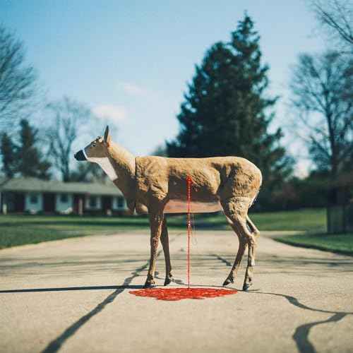 Bastion [Vinyl]