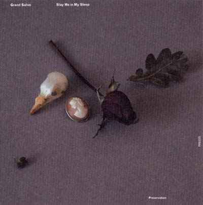 Slay Me in My Sleep [CD]