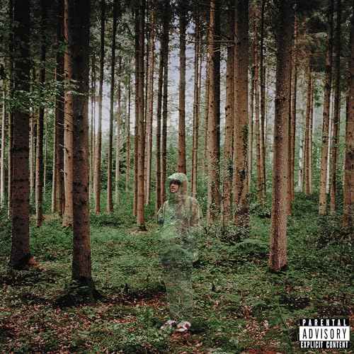grandson - I Love You, I’m Trying [Vinyl]