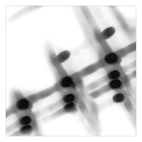 40:13.5 [Vinyl]