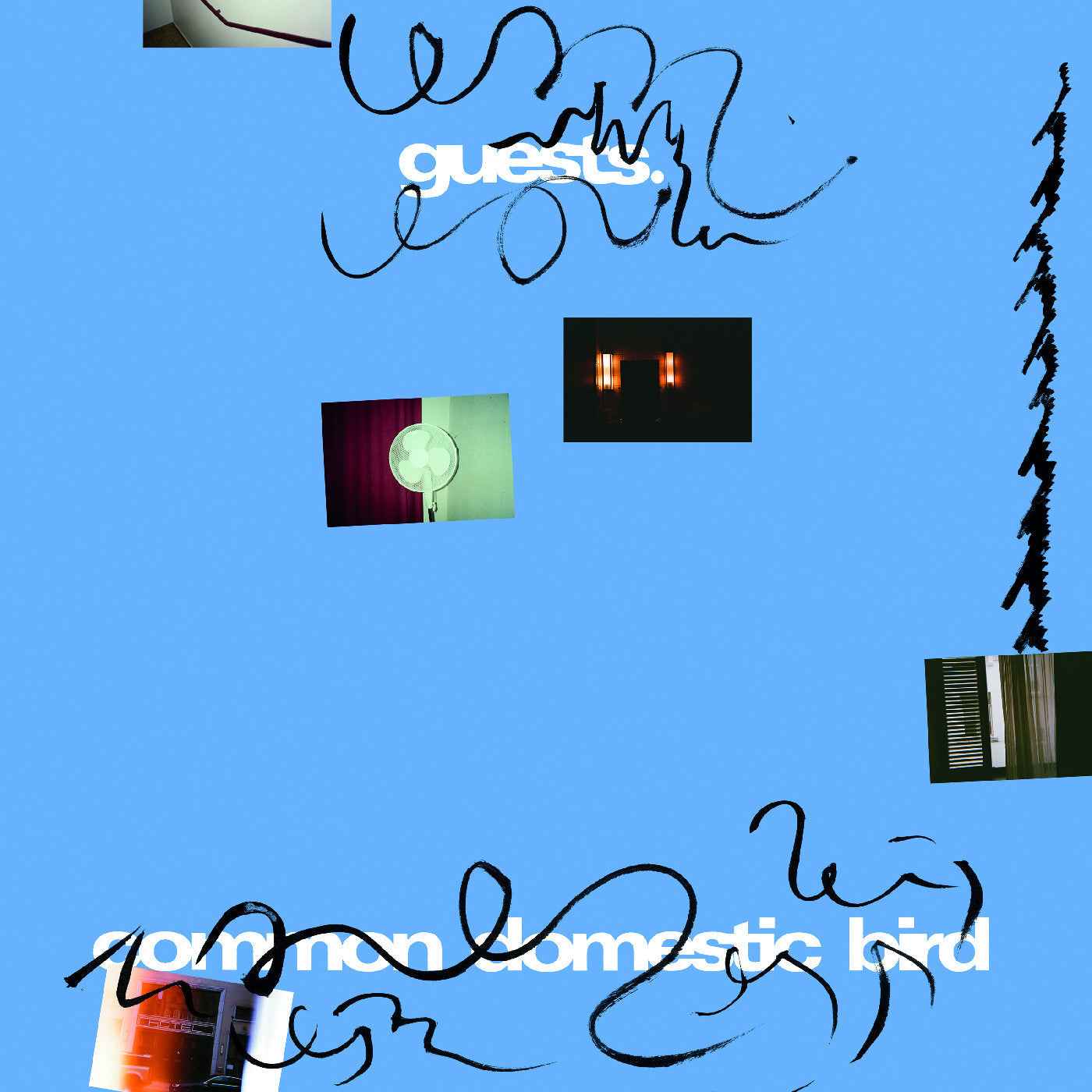 Guests - Common Domestic Bird [Vinyl]