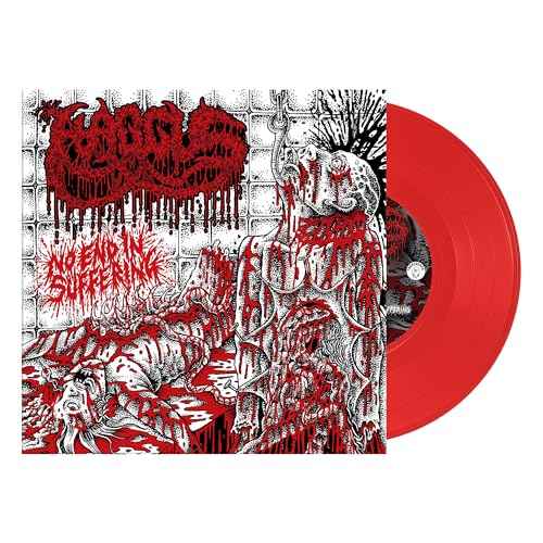 No End In Suffering [Vinyl]