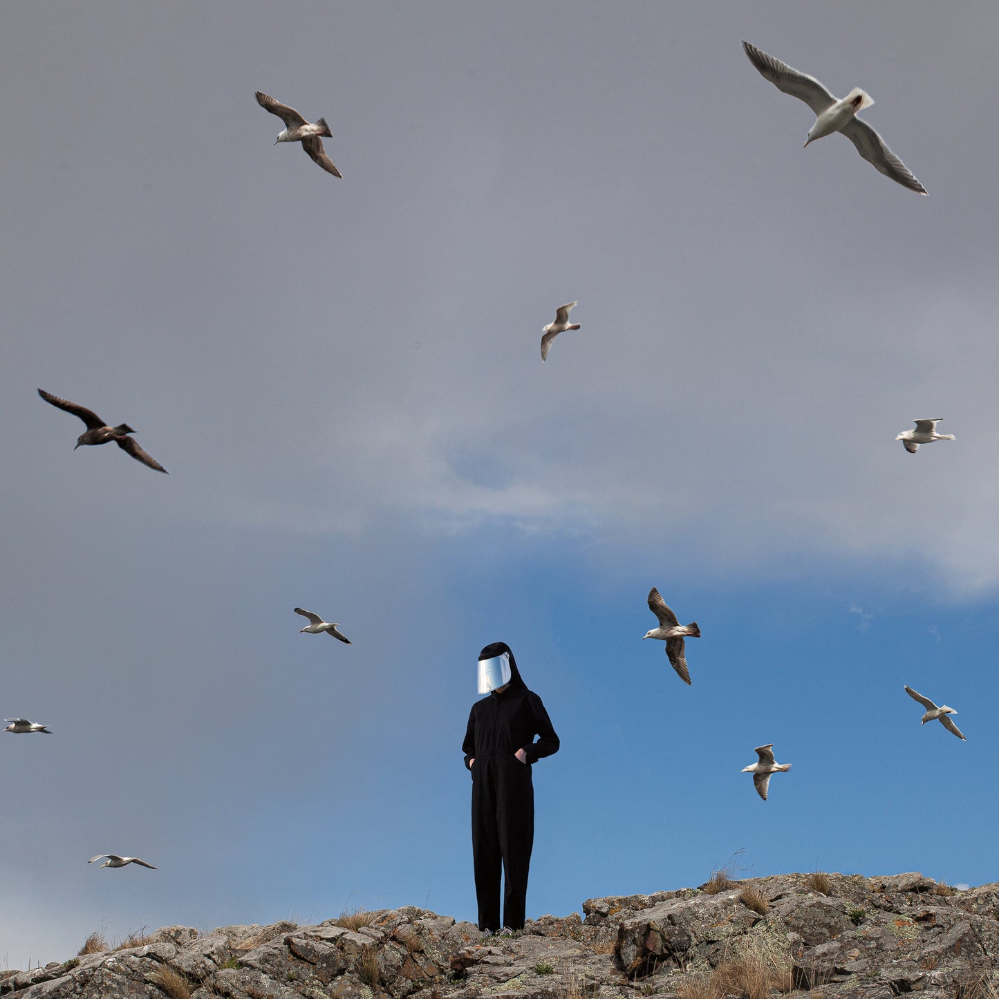 Hamerkop - Remote [Vinyl]