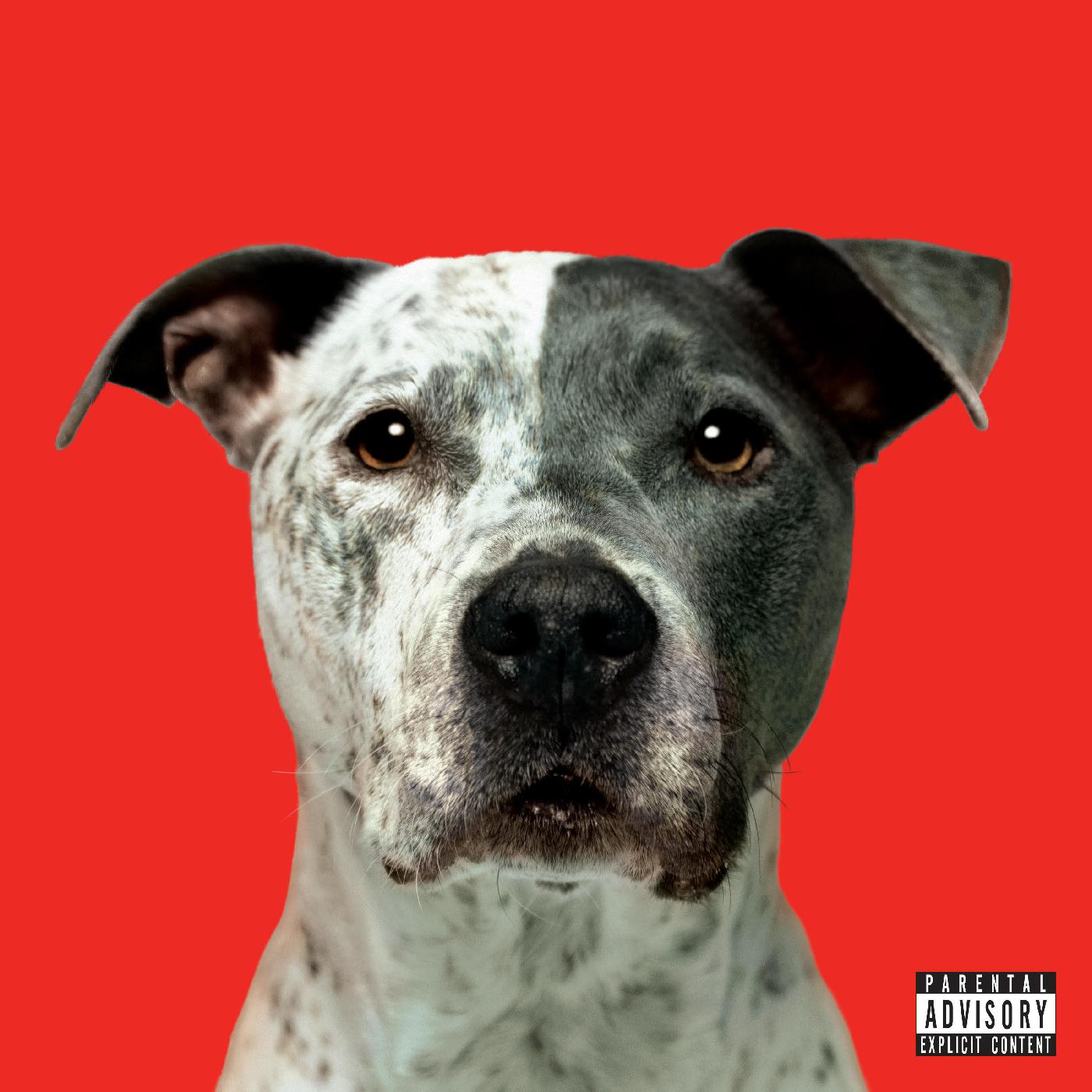 FLIGHT [Vinyl]
