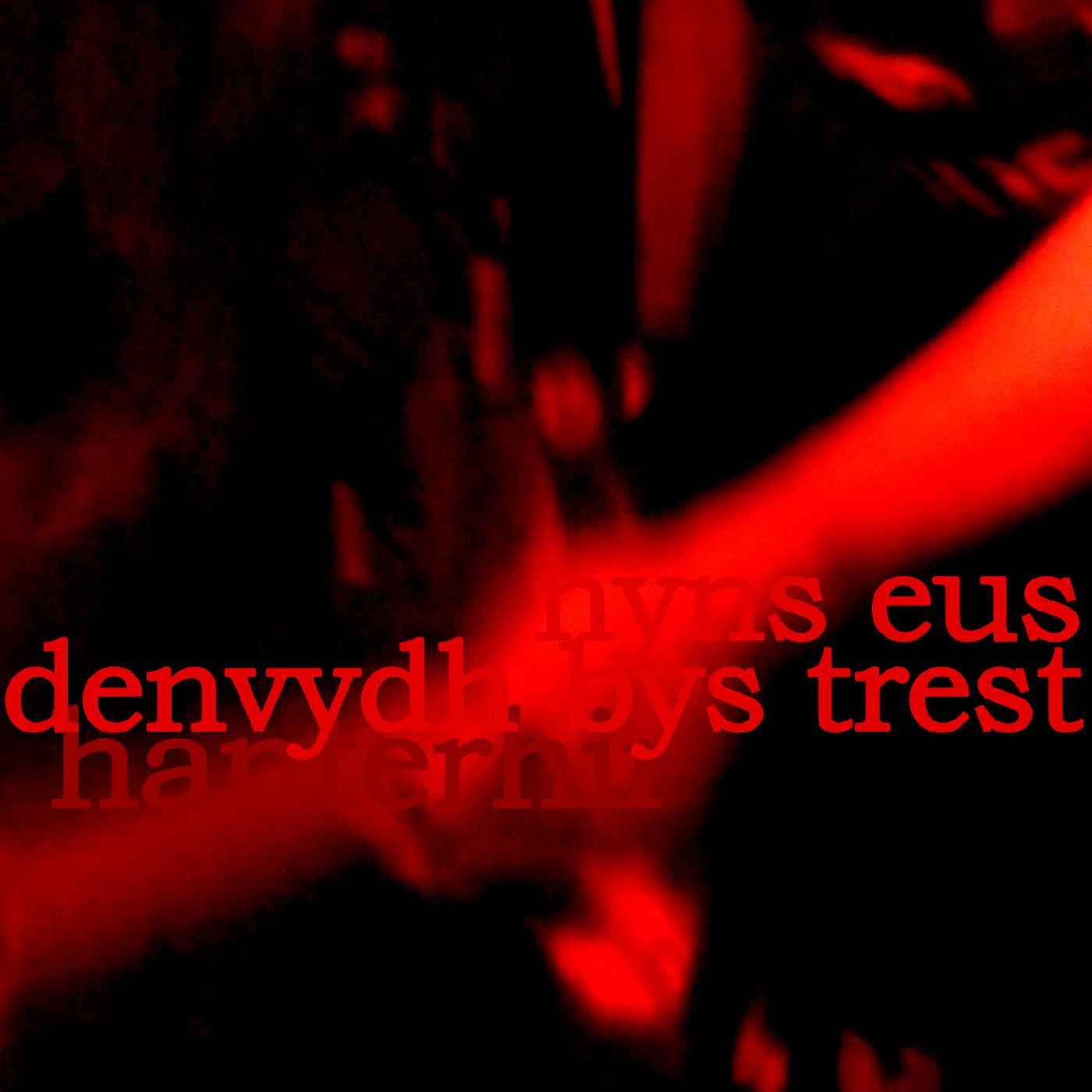 There is No One to Trust (Nyns Eus Denvydth Bys Trest) [CD]
