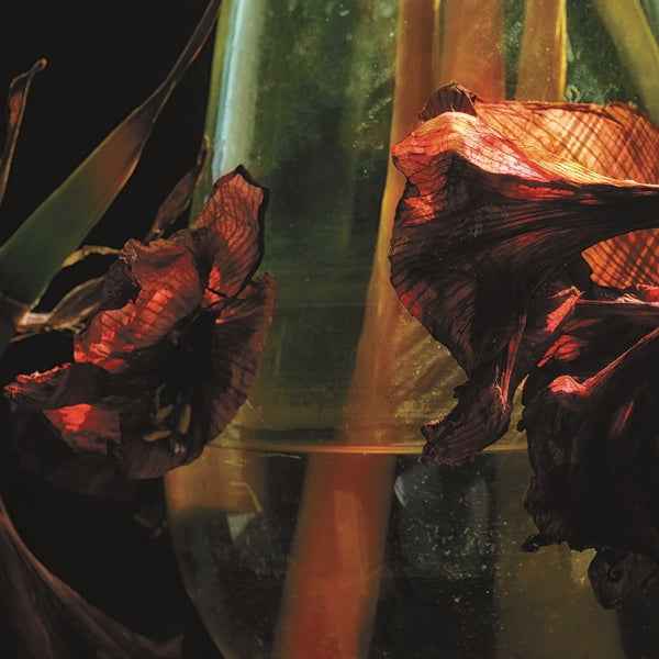 Psychedelia In Times Of Turbulence [CD]