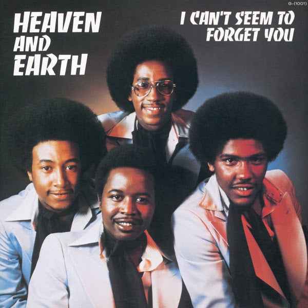 I Can'T Seem To Forget You [Vinyl]
