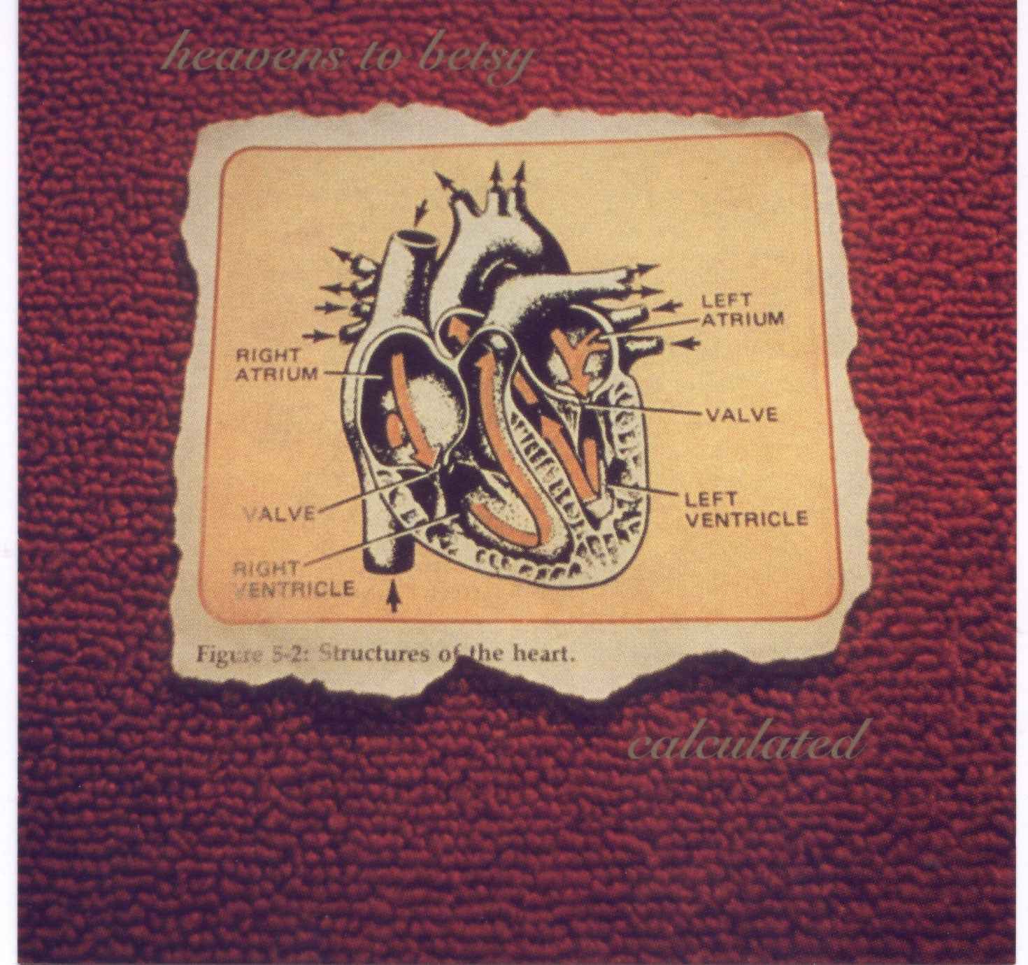 Calculated [CD]