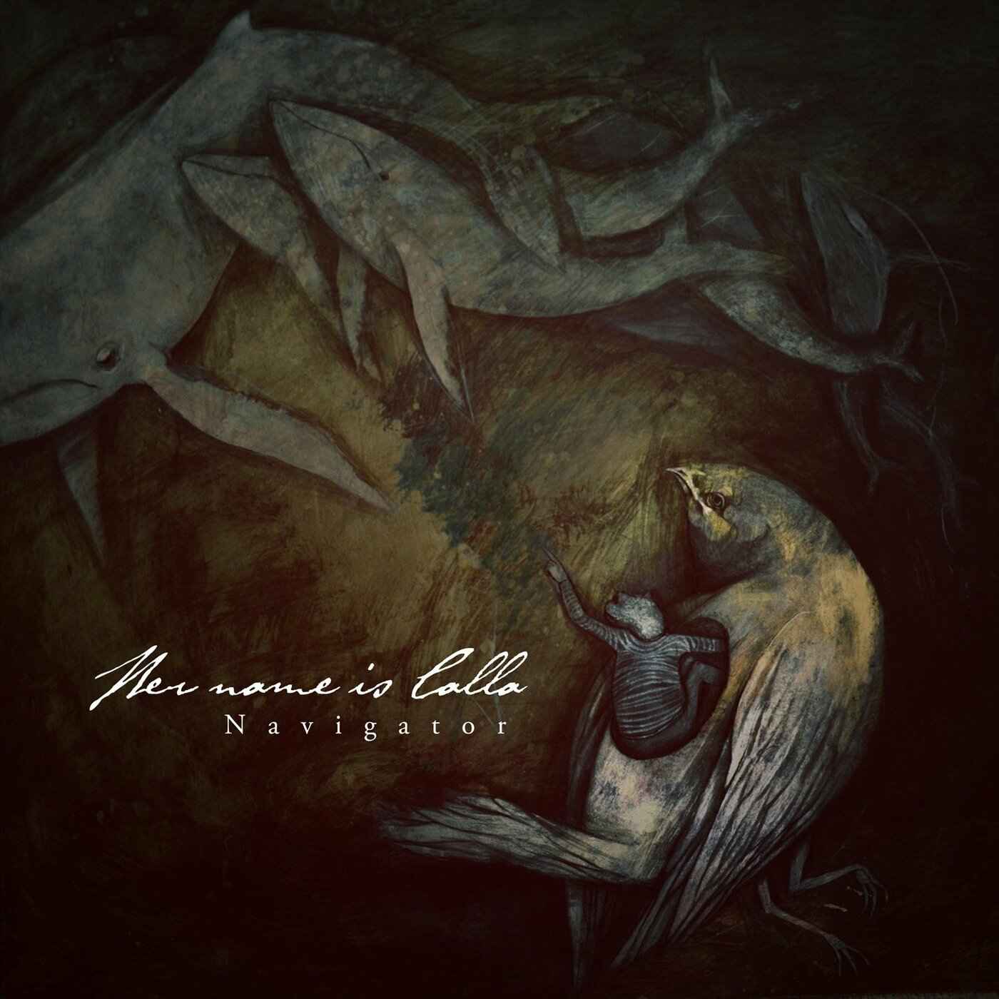 Navigator [CD]
